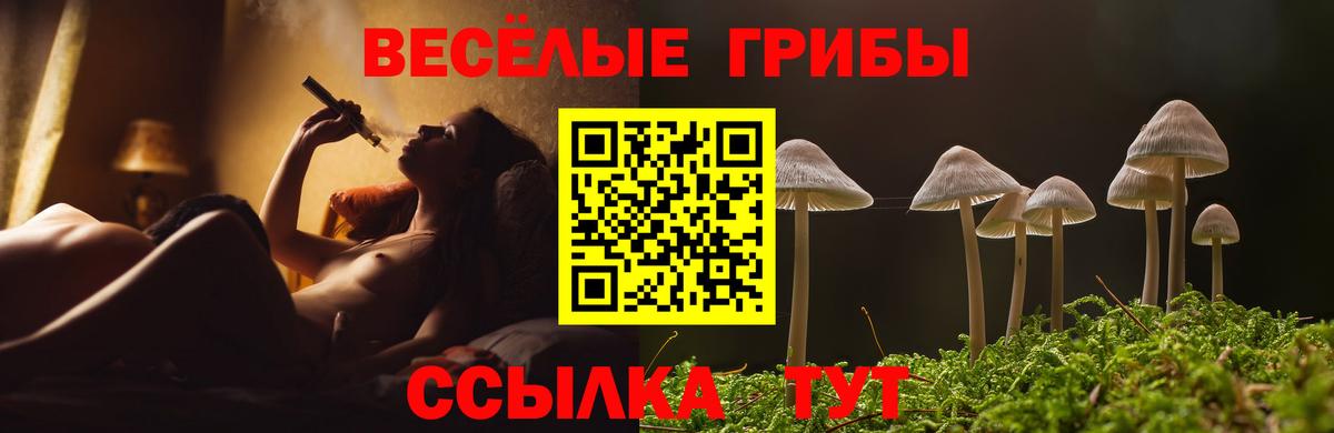 Ипатово  Галлюциногенные грибы Cubensis  Вход с VPN 